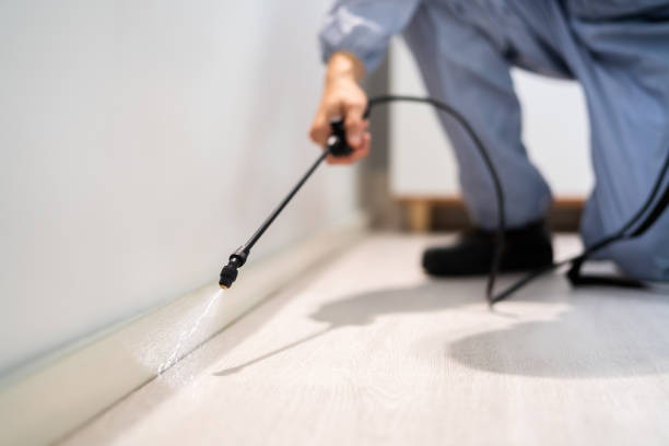 Bed Bug Pre-Treatment Preparation Assessment in Edgemoor