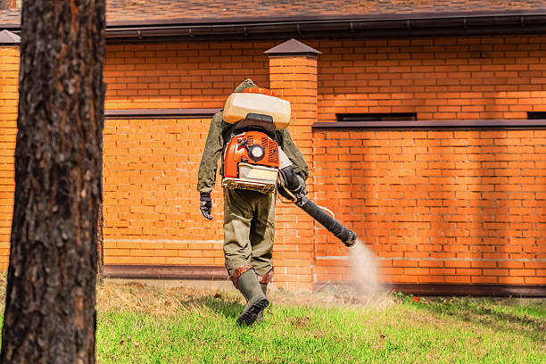 Bed Bug Clearance Verification and Documentation in Edgemoor